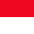 2922517_27131 (1)